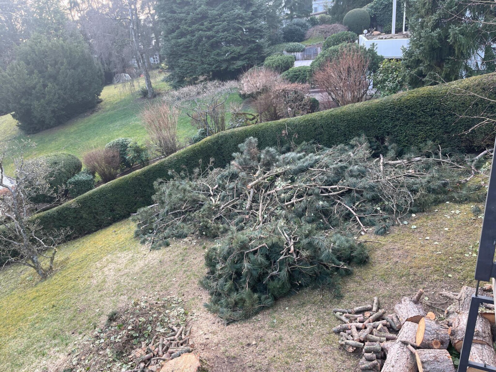 Bilder Allrounder-Masters Nezel