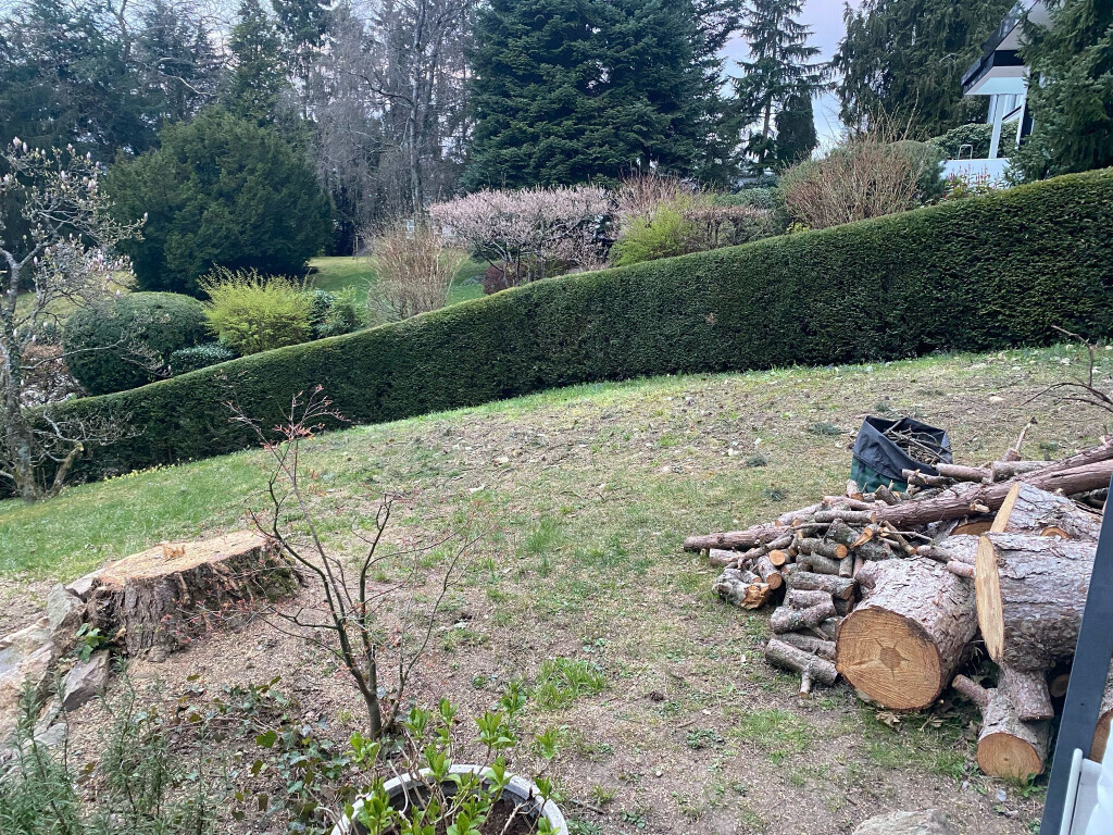 Bilder Allrounder-Masters Nezel