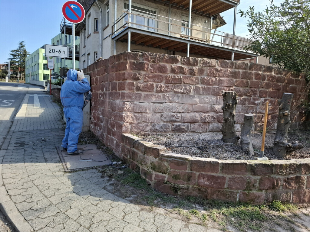 Bilder Allrounder-Masters Nezel