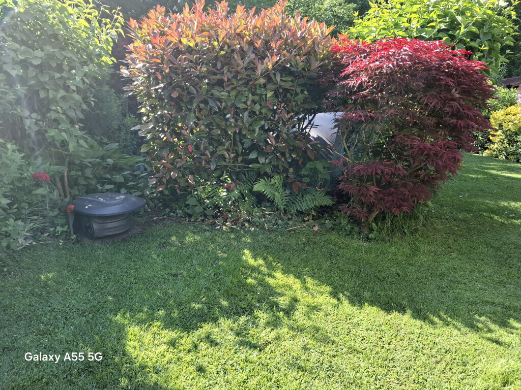 Bilder Allrounder-Masters Nezel