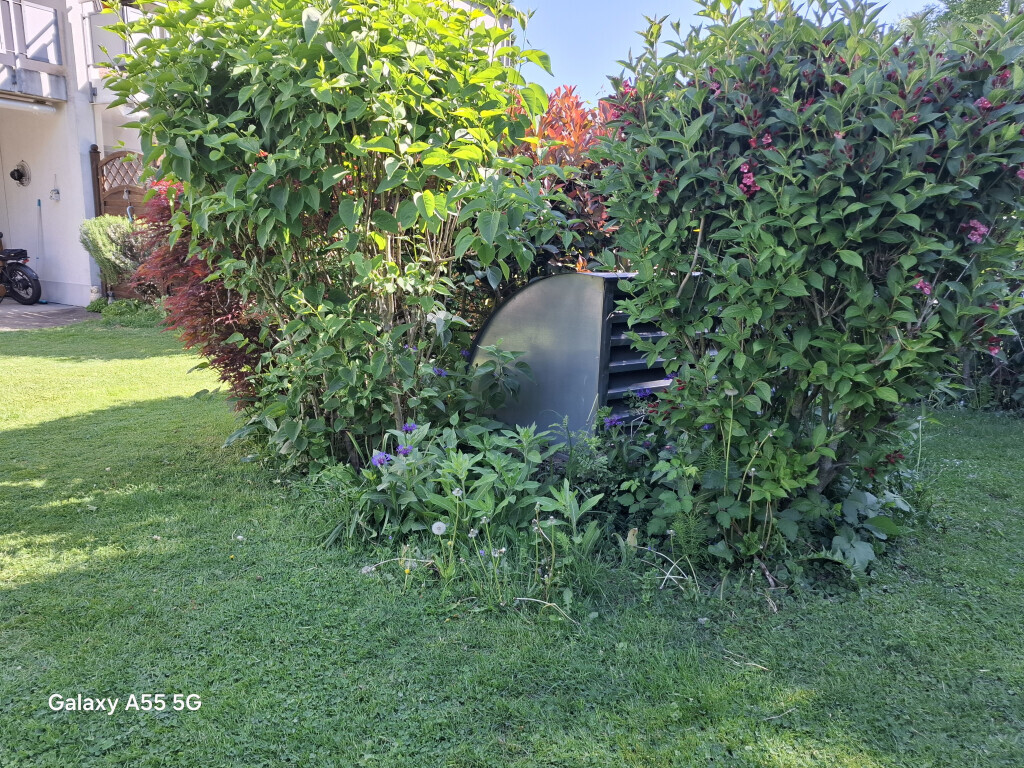 Bilder Allrounder-Masters Nezel