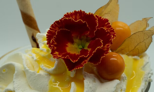 Bilder Miltitzer Eiscafe