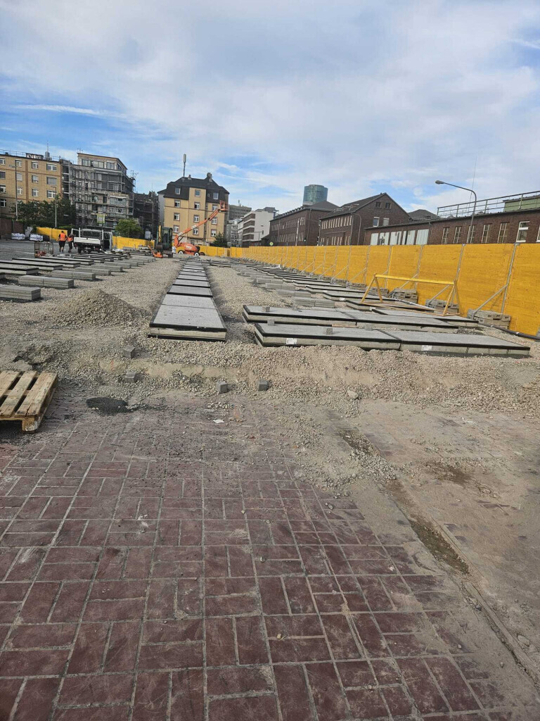 Bilder Der Dienstleistungs - Wolf