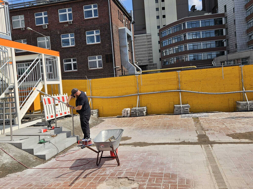 Bilder Der Dienstleistungs - Wolf