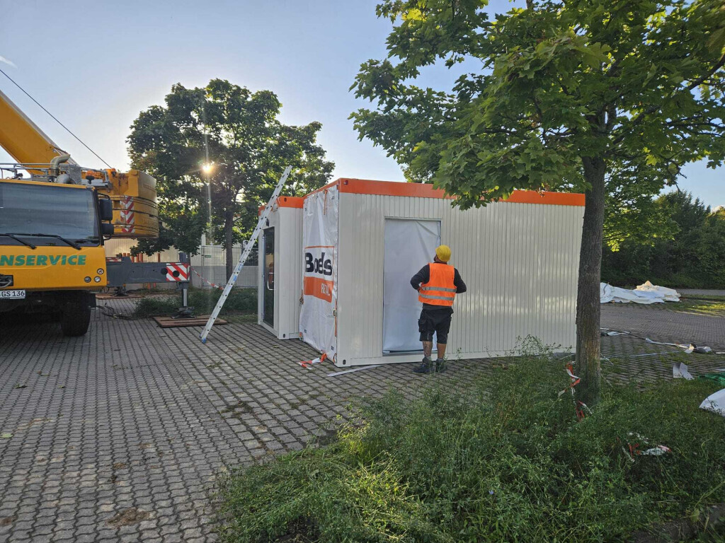 Bilder Der Dienstleistungs - Wolf