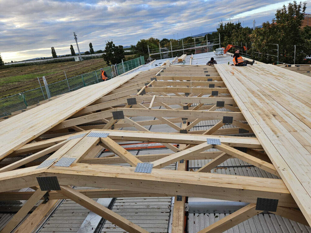 Bilder Der Dienstleistungs - Wolf