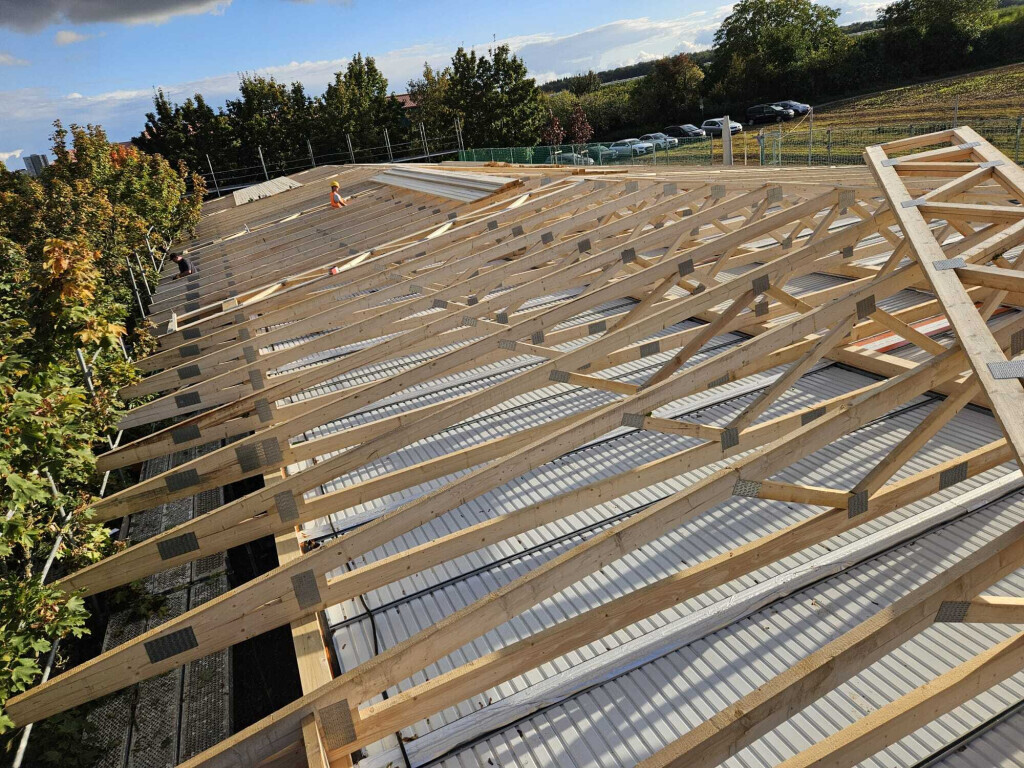 Bilder Der Dienstleistungs - Wolf