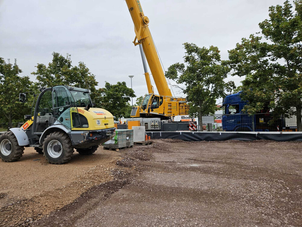 Bilder Der Dienstleistungs - Wolf