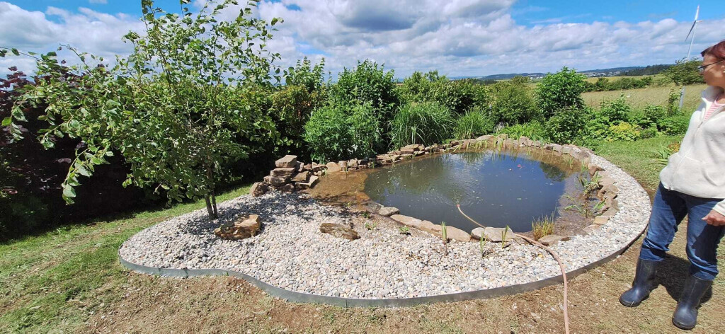 Bilder Der Dienstleistungs - Wolf