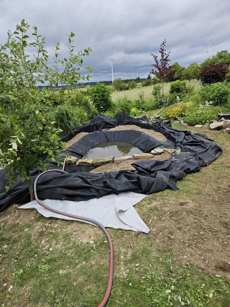 Bilder Der Dienstleistungs - Wolf