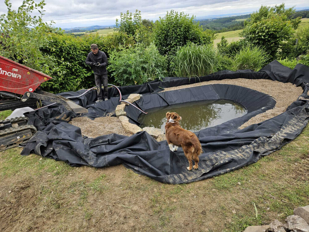 Bilder Der Dienstleistungs - Wolf