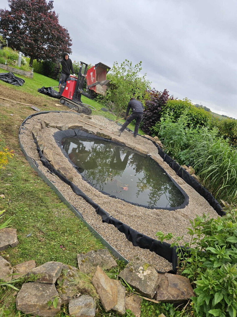 Bilder Der Dienstleistungs - Wolf