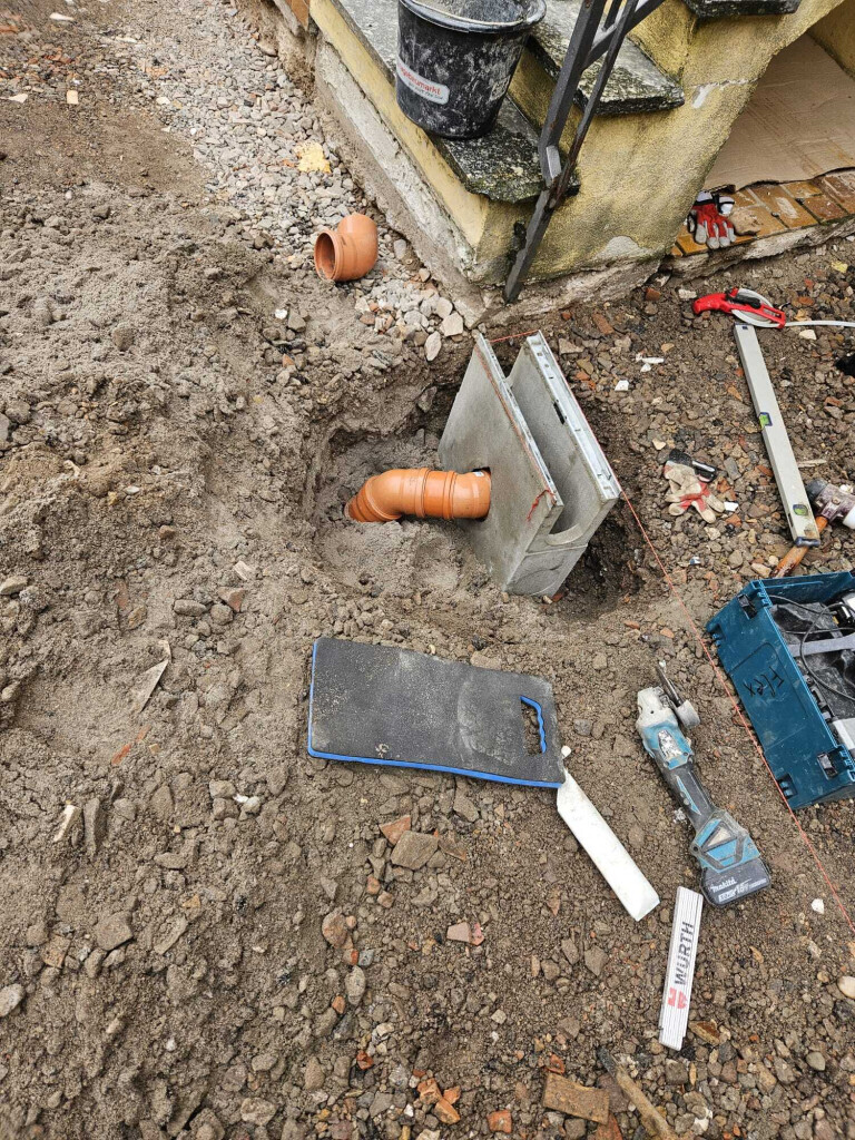 Bilder Der Dienstleistungs - Wolf