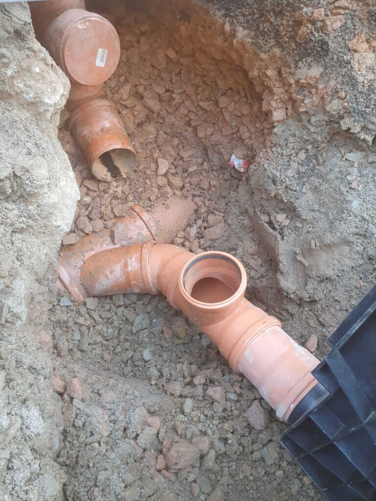 Bilder Der Dienstleistungs - Wolf