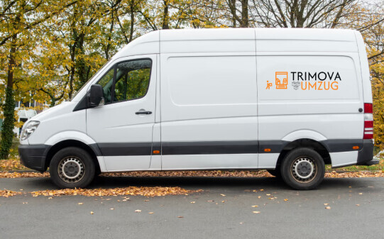 Bilder Trimova-Umzug