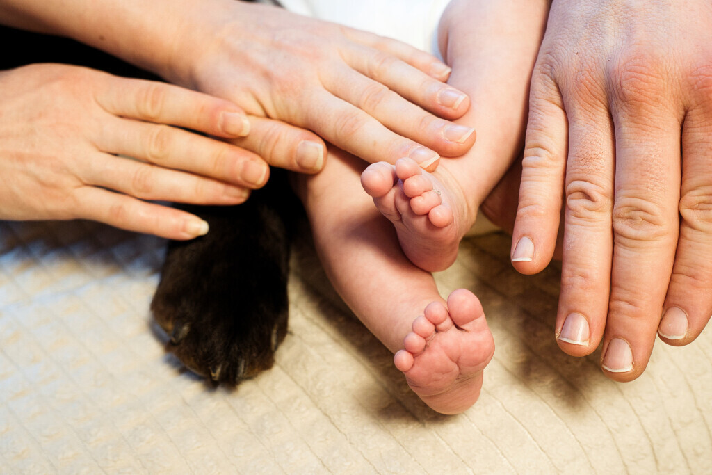 Bilder Sebastian Vianden Foto & Videografie