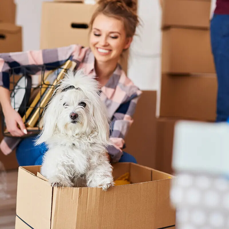 Bilder Schepanski Dienstleistungen Umzüge&Entrümpelungen