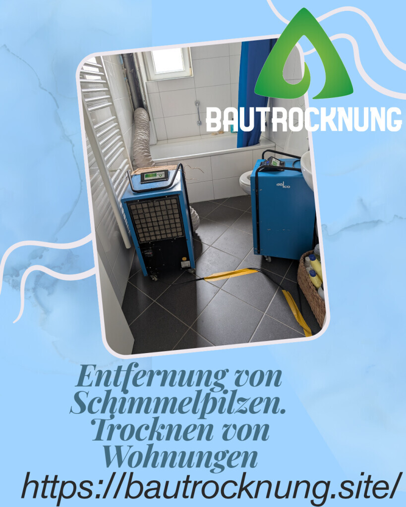 Bilder Bautrocknung