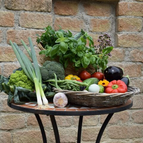 Bilder Ernährungspsychologie Judith Heckmaier