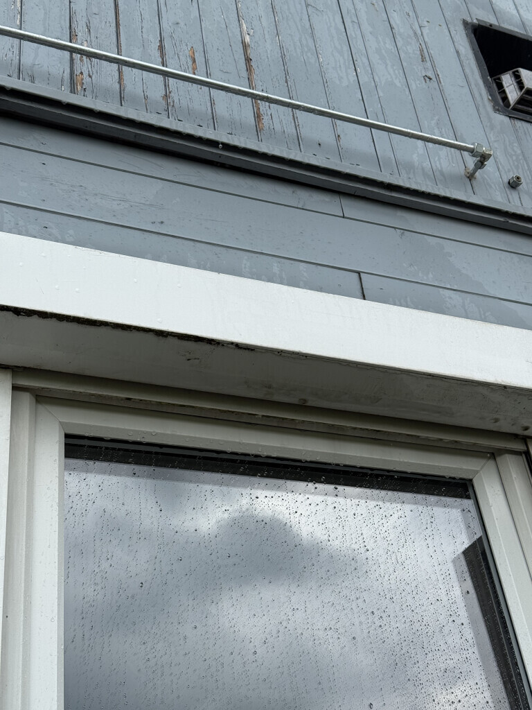 Bilder Rafis Sauberwelt