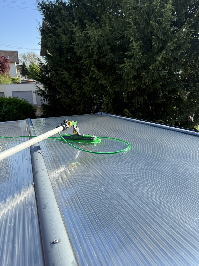 Bilder Rafis Sauberwelt