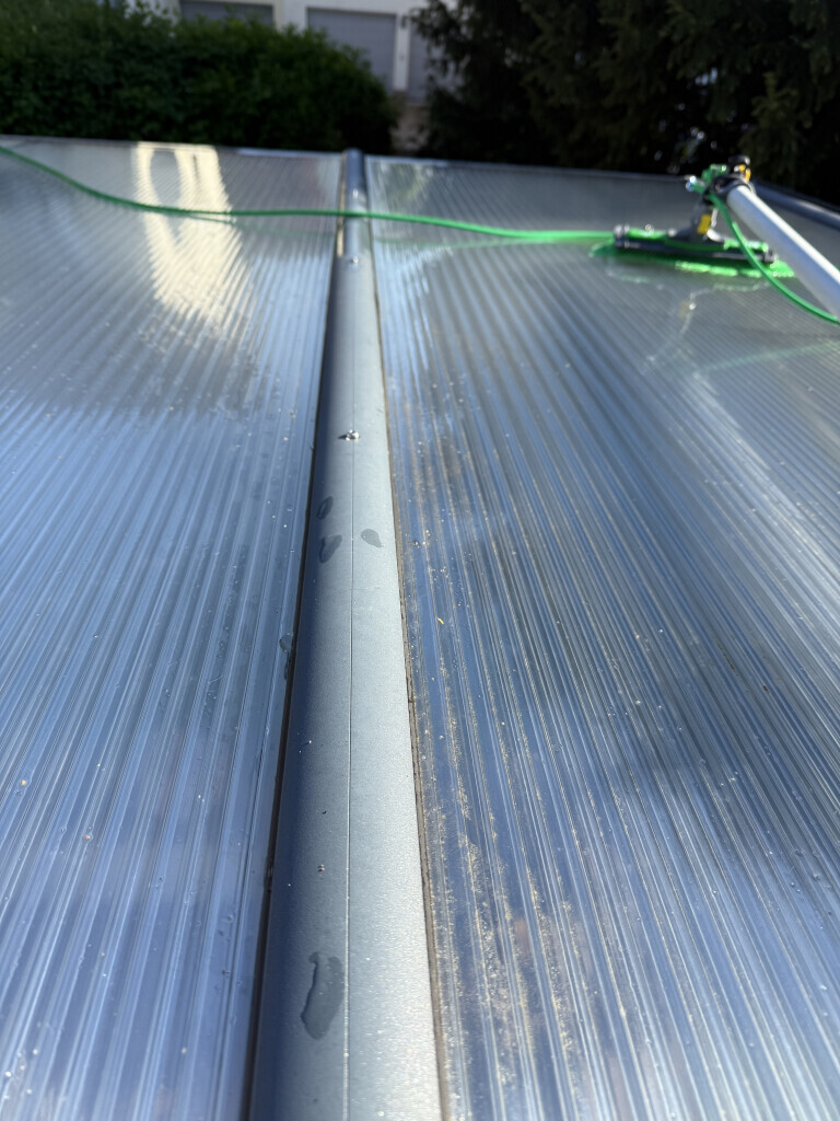 Bilder Rafis Sauberwelt