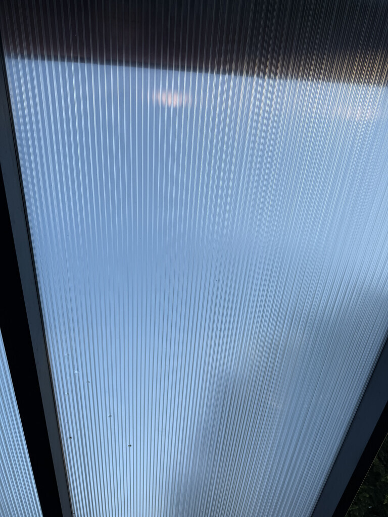 Bilder Rafis Sauberwelt