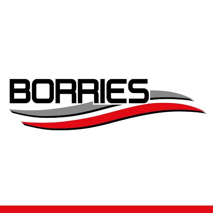Borries Lader e.K. Logo