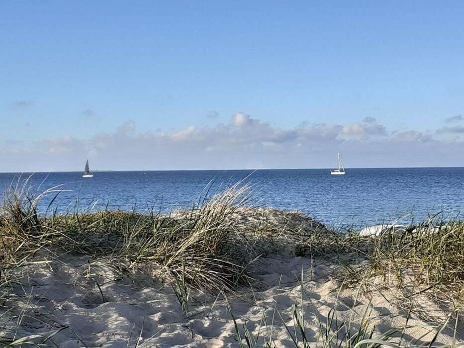Bilder Ferienwohnungen Müller