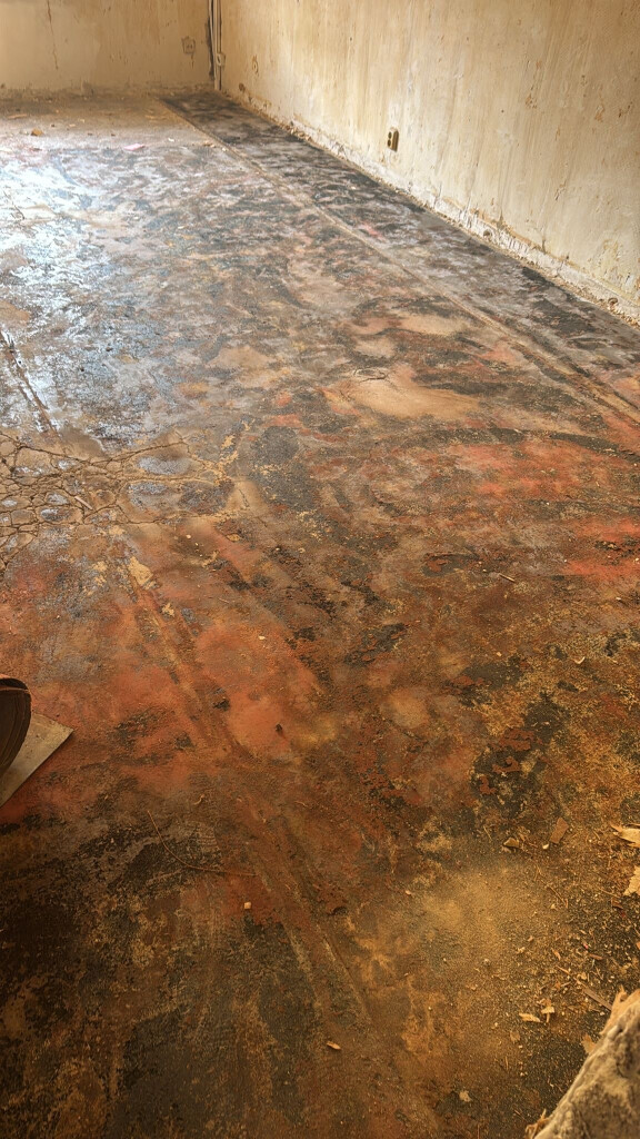 Bilder FDF Entrümpelung GmbH