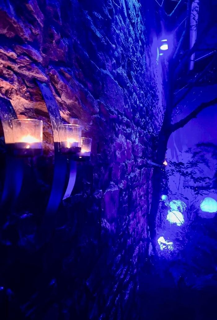 Bilder B17 - Restaurant | Bar | Lounge