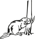 Baum- & Gartendienst Stockhammer Logo