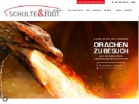 Website Screenshot Schulte & Todt Systemtechnik GmbH & Co.KG