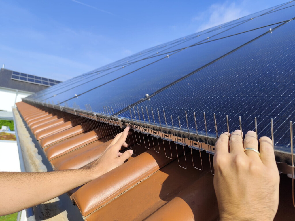 Bilder Lutz und Lutz