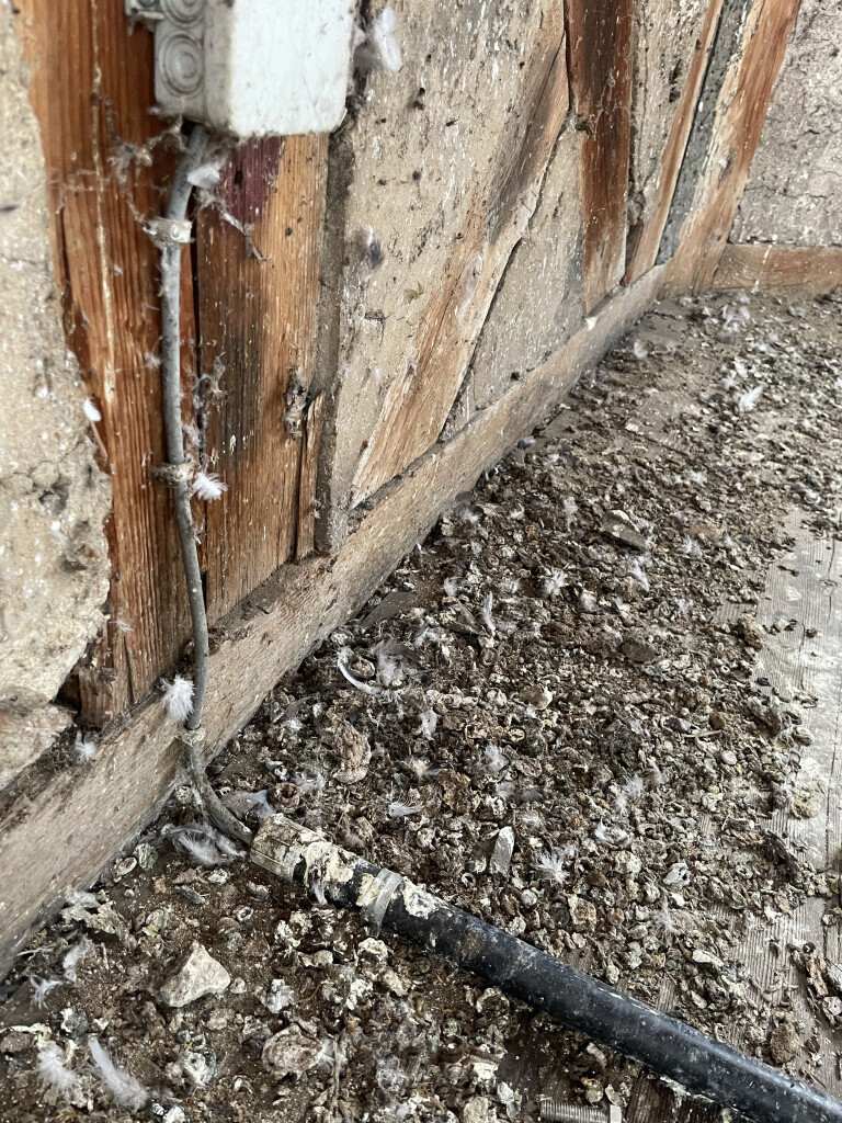 Bilder Lutz und Lutz