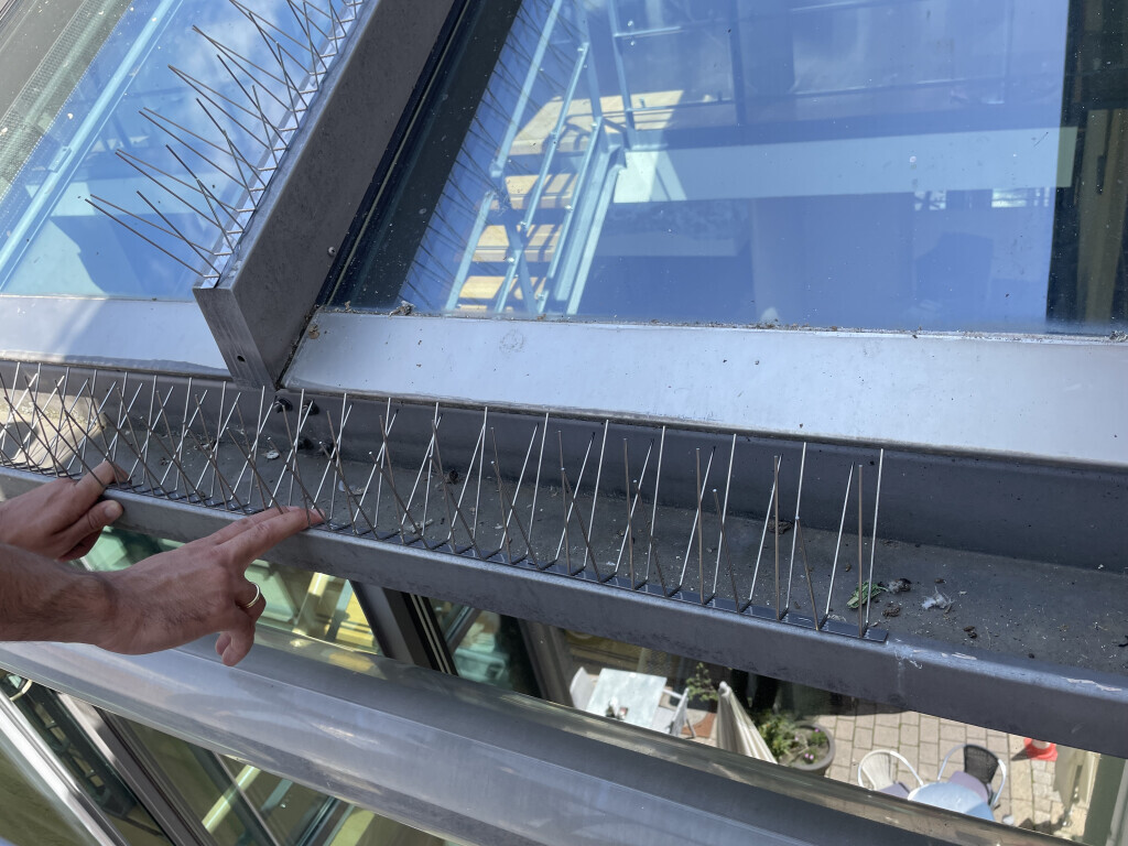 Bilder Lutz und Lutz