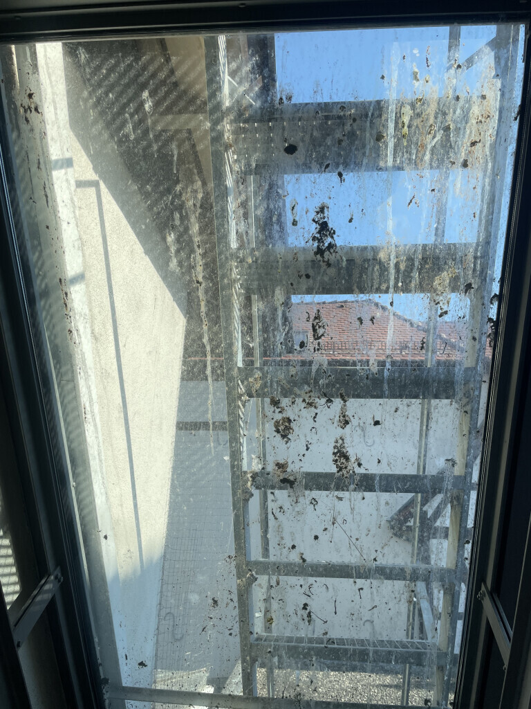 Bilder Lutz und Lutz