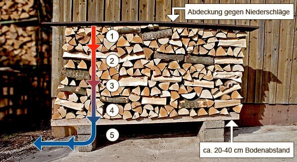 Bilder Brennholz Müller