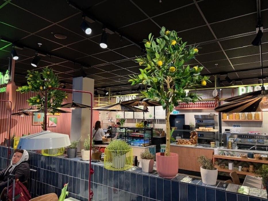 Bilder Marché Restaurant Nürnberg Airport