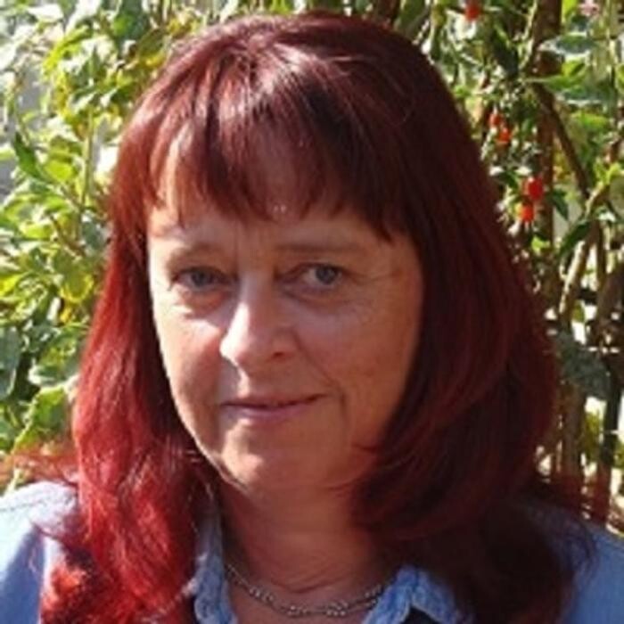 Bilder Musikschule Fröhlich - Kordula Schmidt