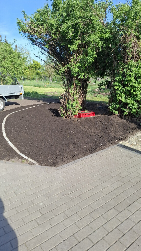 Bilder Jenny´s Kükenglück und Gartenzauber