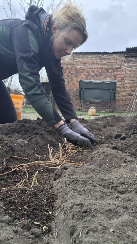 Bilder Jenny´s Kükenglück und Gartenzauber