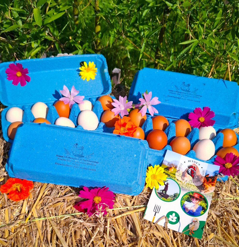 Bilder Jenny´s Kükenglück und Gartenzauber