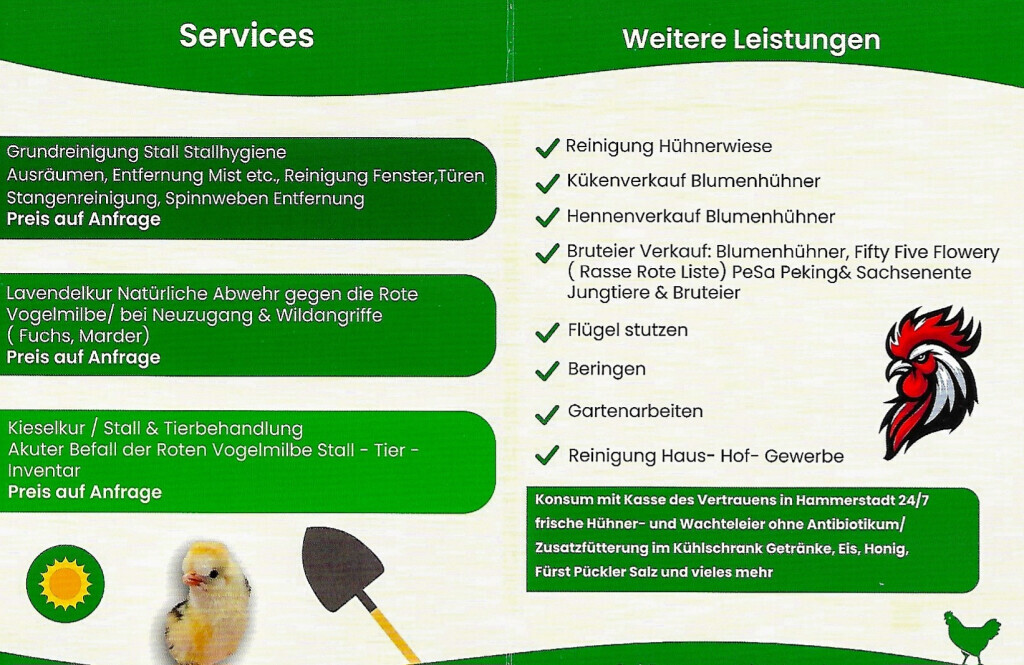 Bilder Jenny´s Kükenglück und Gartenzauber