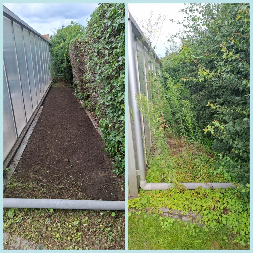 Bilder Jenny´s Kükenglück und Gartenzauber