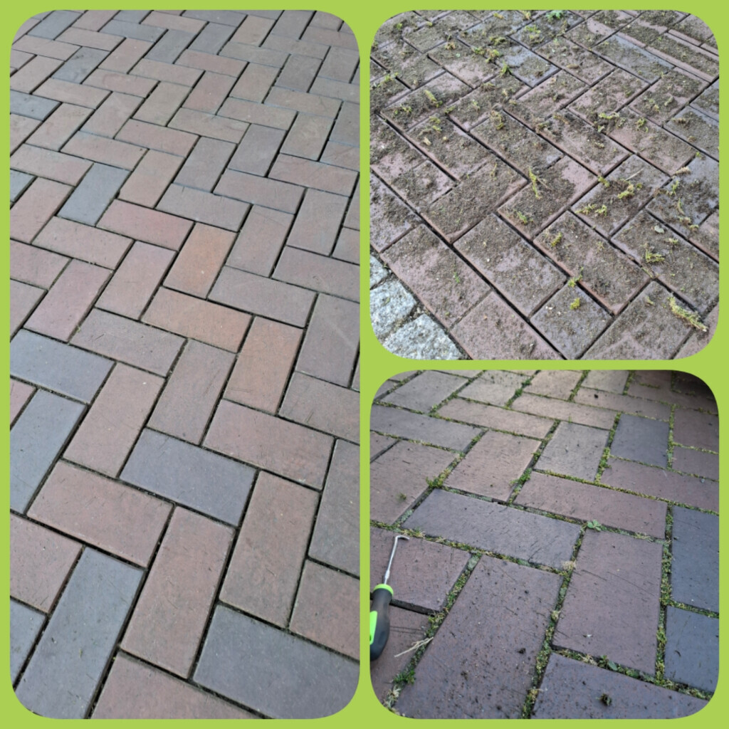 Bilder Jenny´s Kükenglück und Gartenzauber