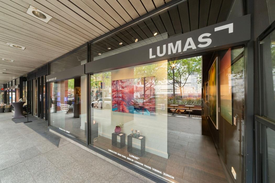 Bilder LUMAS Galerie Mannheim