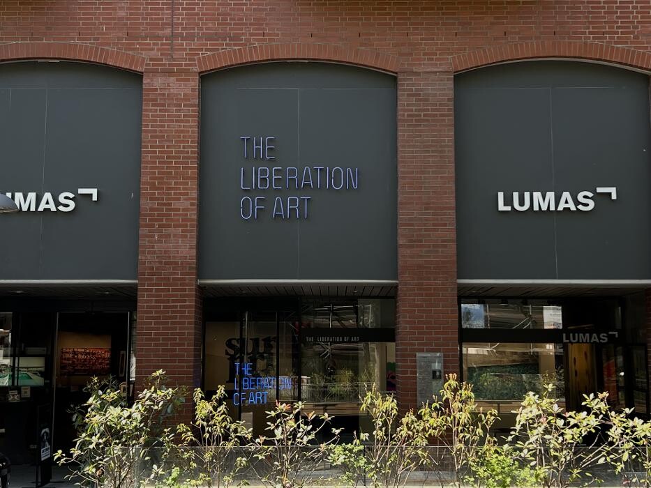 Bilder LUMAS Galerie Mannheim