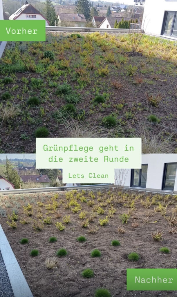 Bilder LetsClean Gebäudereinigung