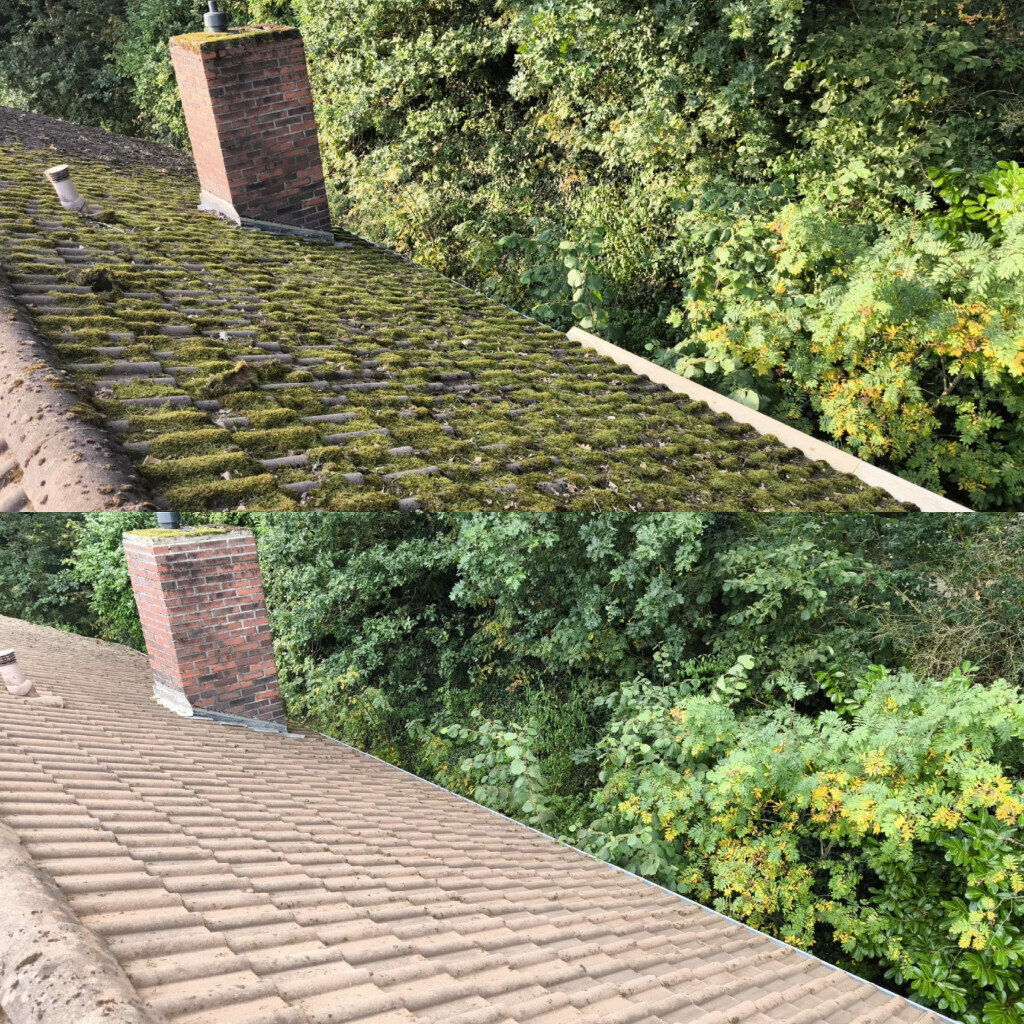 Bilder Traum-Glanz - Gebäudereinigung Oldenburg und Hude